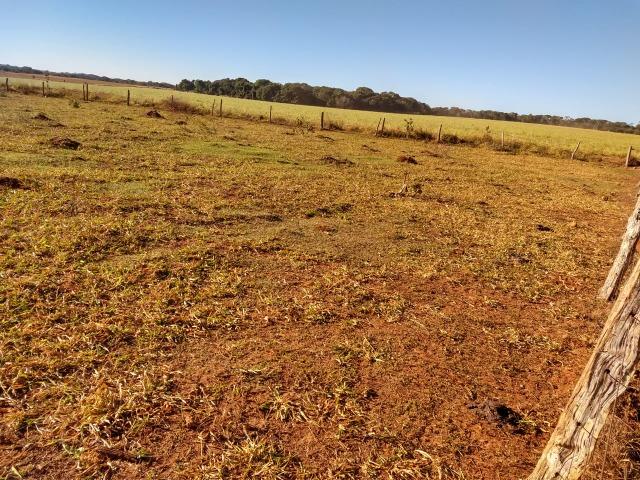 Fazenda Agrícola. 105 Alq. em Montividiu-GO - Foto 6