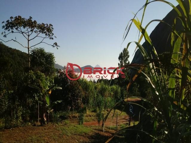 Sítio em teresópolis com cachoeira, nascente, terra para plantação e árvores frutíferas. - Foto 15
