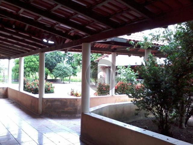 Sitio no cinturão verde - Foto 19