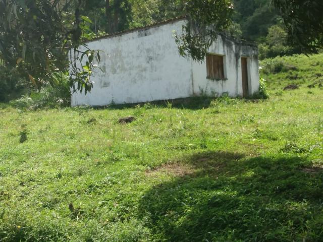 Fazenda Ibicaraí - Foto 19