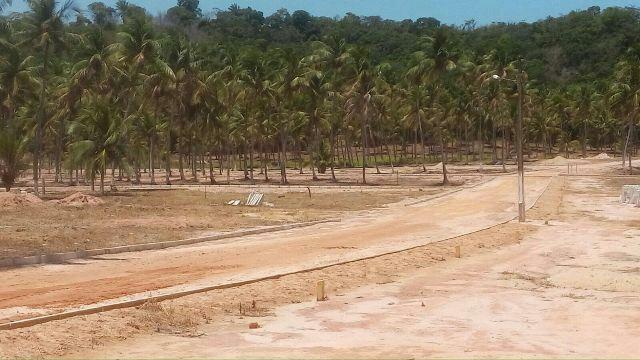 Lotes são jose - Foto 6