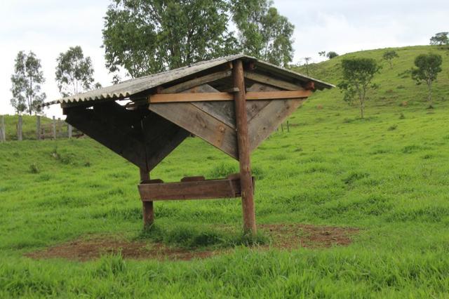 Fazenda Montada 25 Alqueires Cocalzinho"Toda Formada,72 km de Anapolis,129 km Goiania - Foto 10