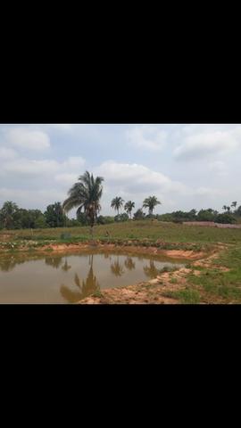 Sítio com 3 Alqueires, 17 km de Imperatriz, * - Foto 13