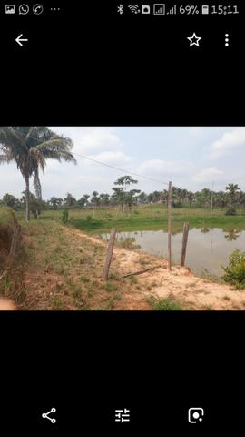 Sítio com 3 Alqueires, 17 km de Imperatriz, *