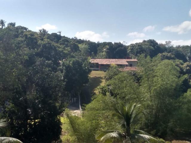 Granja - Foto 9