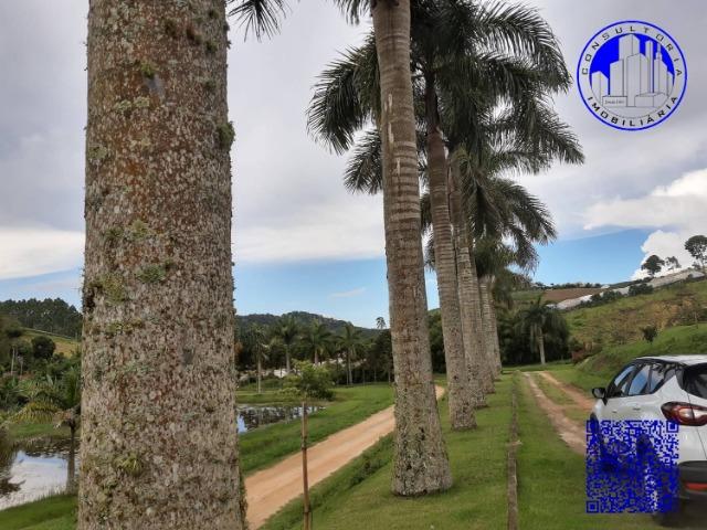 Vendo Terreno em Venda Nova - Foto 7