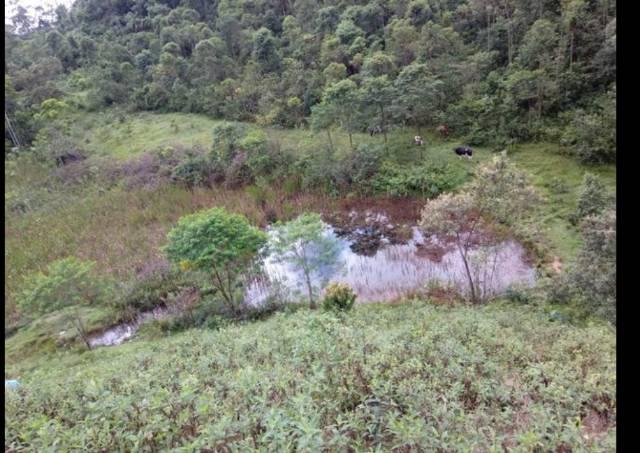 Vendo terreno de 4 alqueires em Ribeirão, Vargem Alta