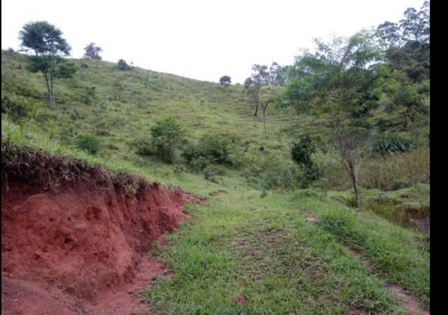 Vendo terreno de 4 alqueires em Ribeirão, Vargem Alta - Foto 2