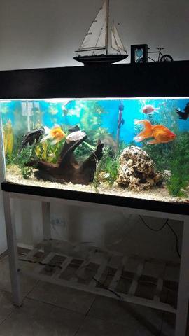 Aquário completo, 200 Litro - Foto 3