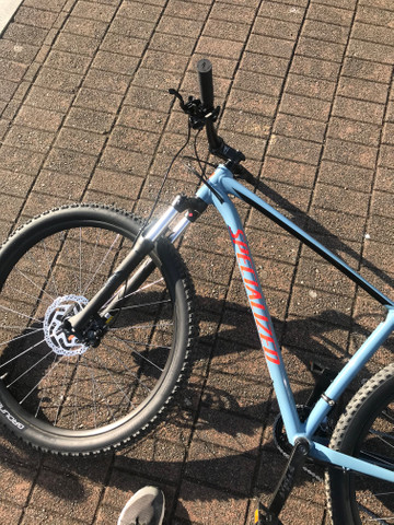 specialized rockhopper comp 2019