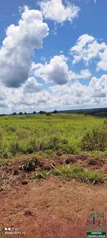 Fazenda 62 Alqueires  Oportunidade Próximo a Palmas - Foto 4