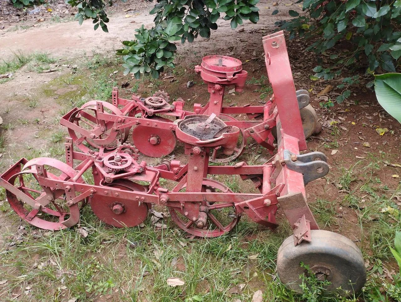 Plantadeira jumil  - Foto 2