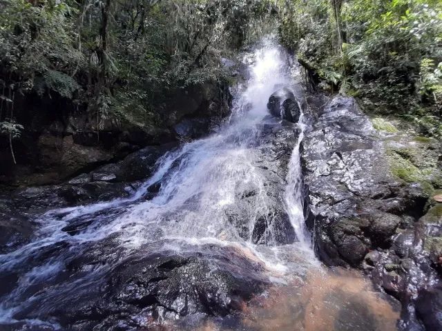 Sitio Fazenda em Angelina om cachoeira - Foto 2