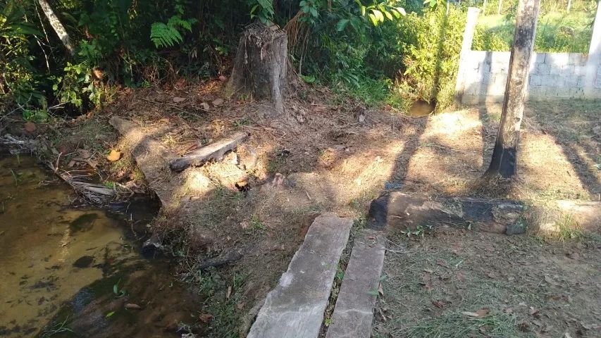 Venda Chácara Ebenezer - Foto 4