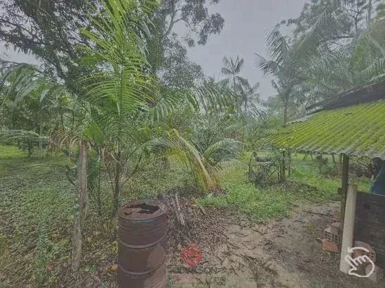 Fazenda/Sítio/Chácara, em Castanhal/PA,  250.000m², BR 316 KM 78, Passando Travessa do 15, - Foto 2
