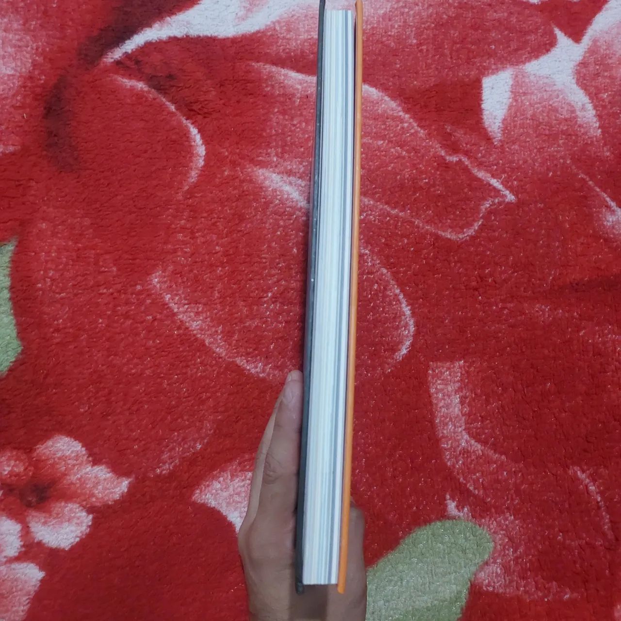 Biblioteca Gaiman - Foto 2