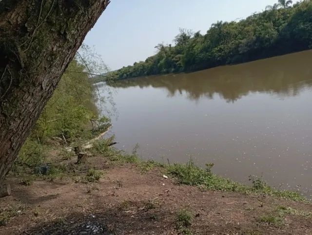 Área para formar chácara - Foto 5