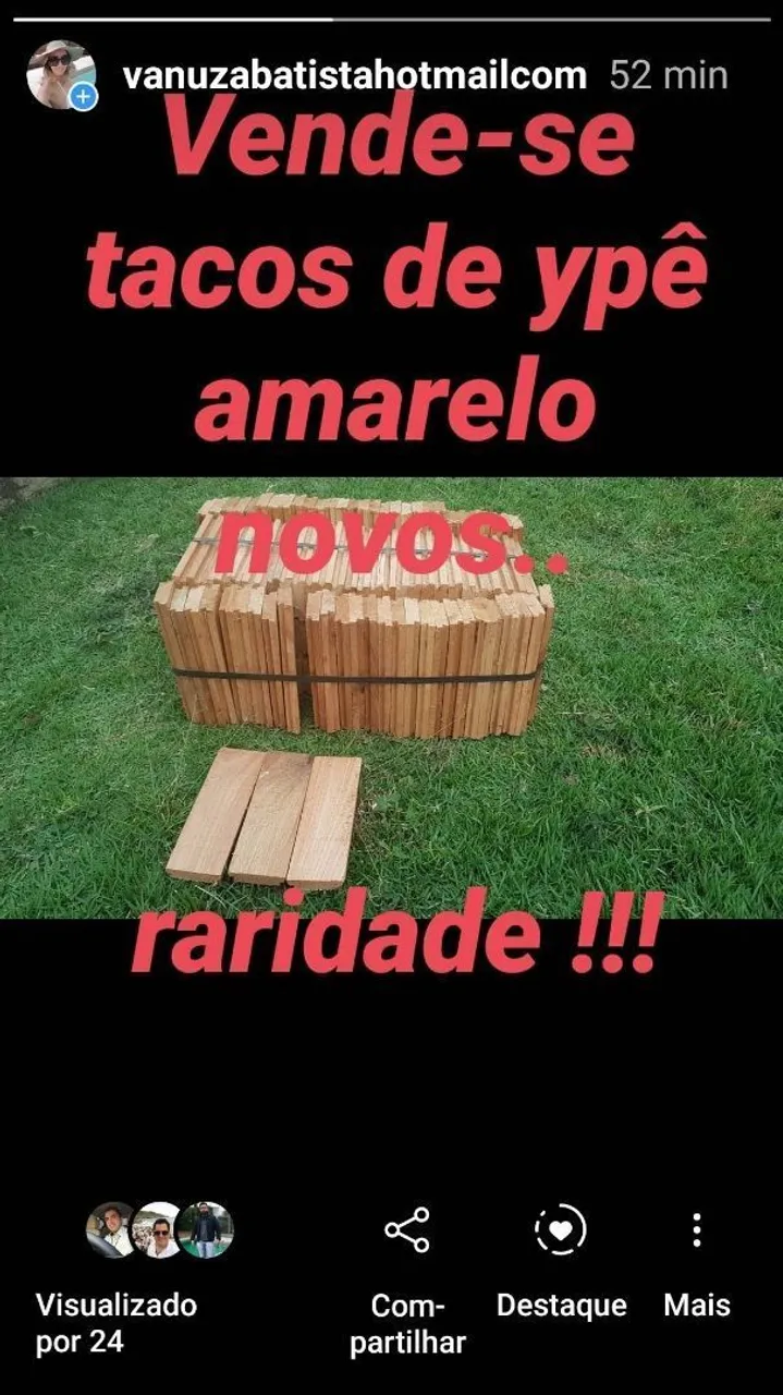 Tacos de ypê amarelo