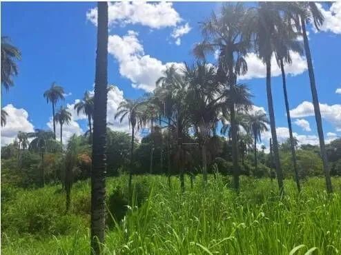 Negociando  - Foto 13