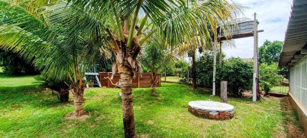 Chácara - Alvorada do Sul - 2440m² - Molhada - Foto 3