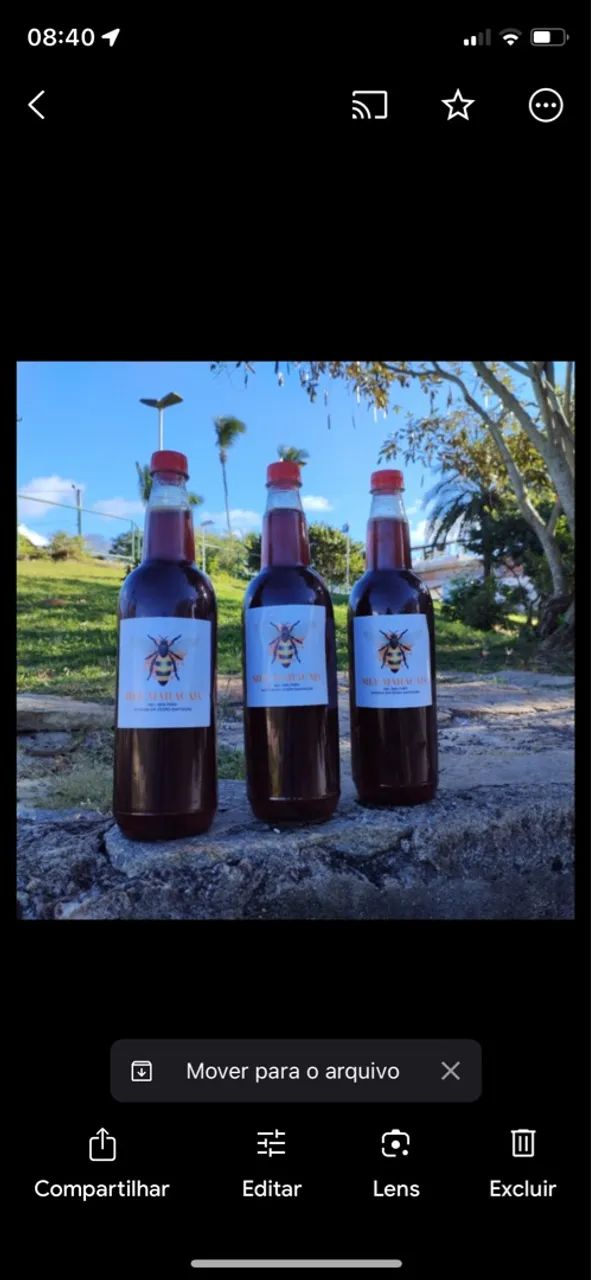 Mel de Italiana 100% puro - Fazenda em Cícero Dantas/BA - Foto 3