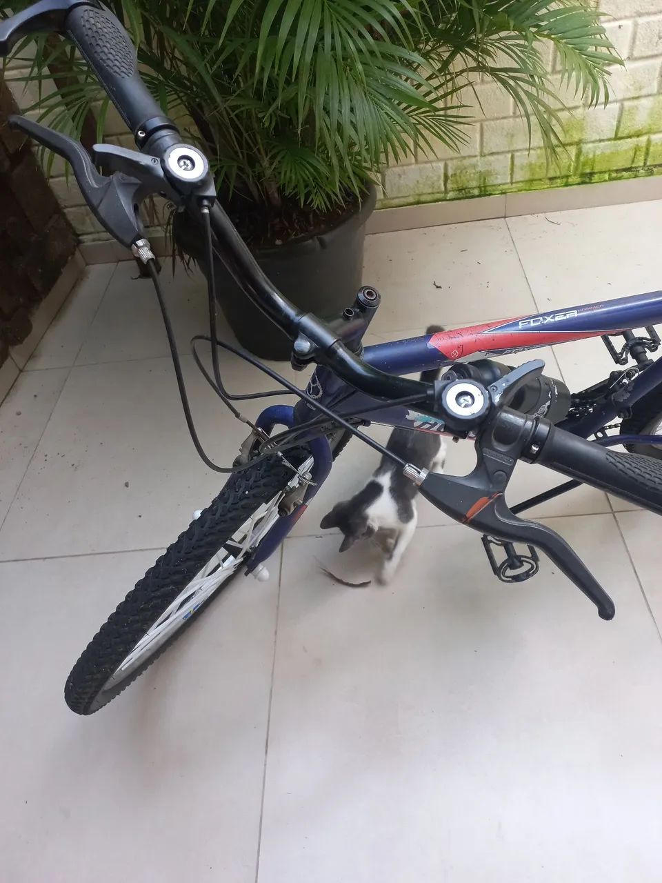 Bicicleta 18 marchas 