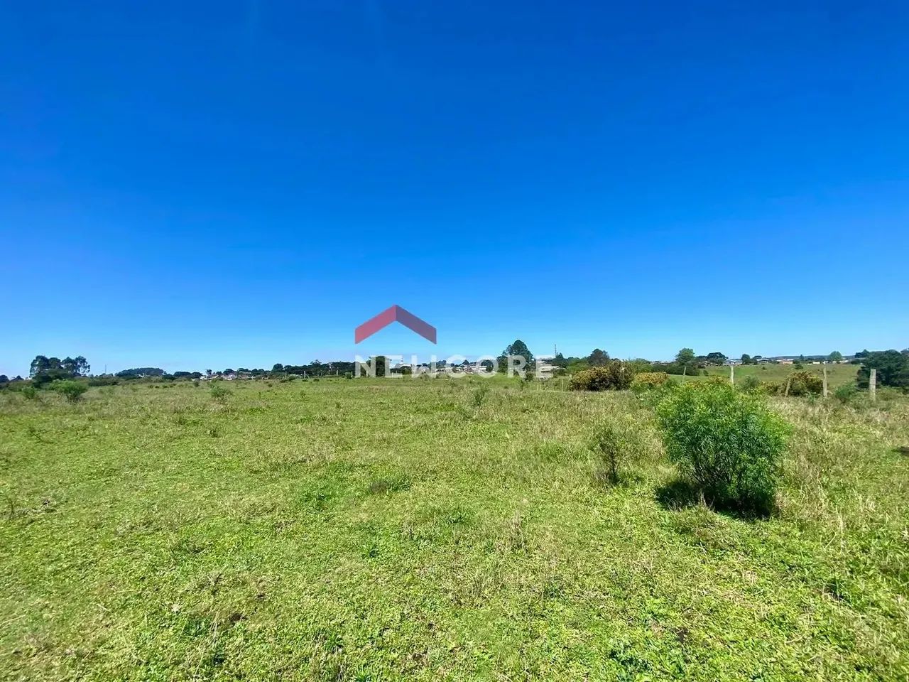 Lote em Campo do meio - Campo do Meio - São Francisco de Paula/RS - Foto 5