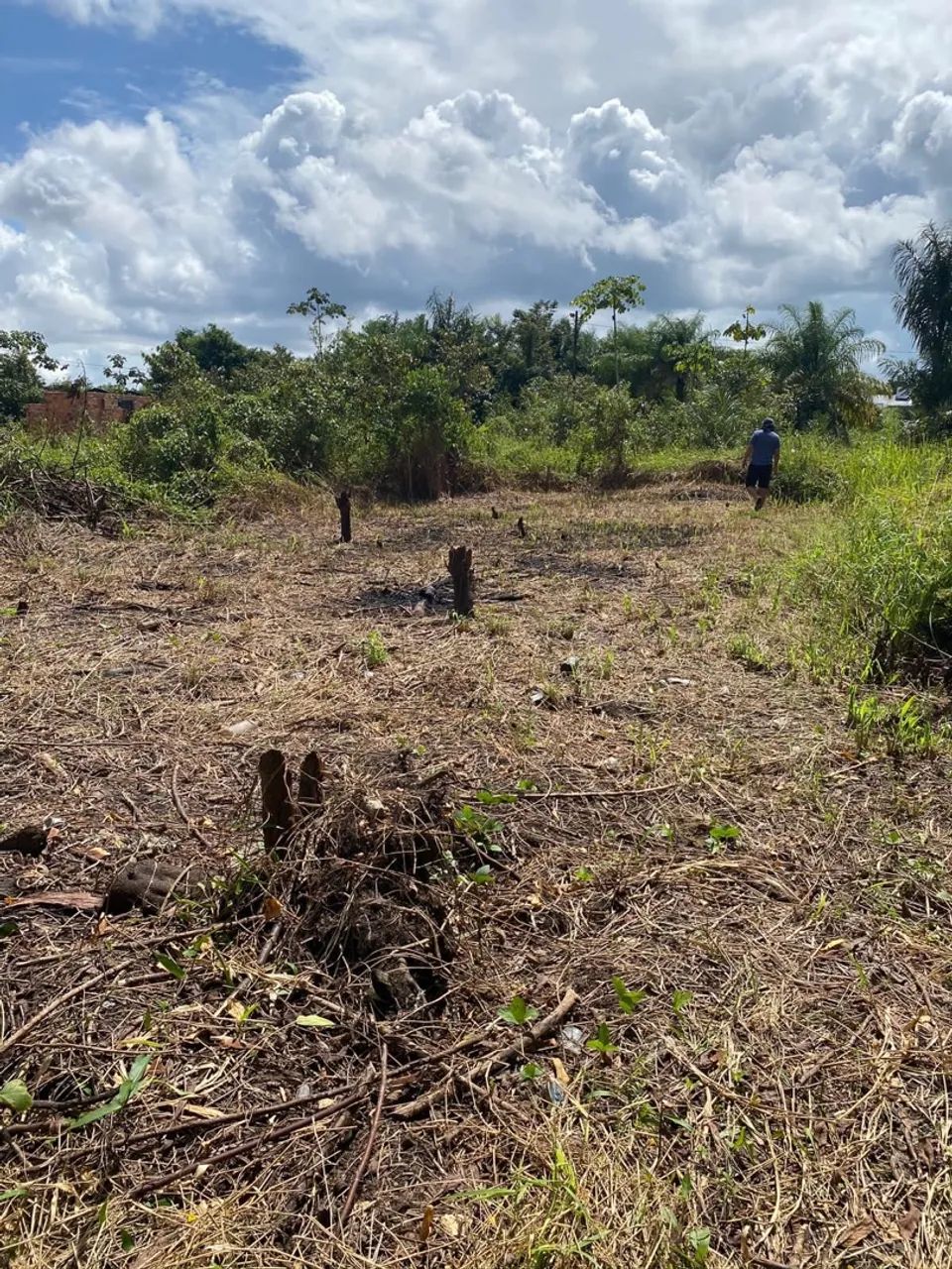 Terreno no Jardim das Orquídeas icui