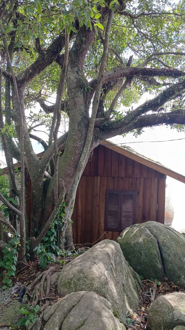 Foto - Biguaçu - Morro da Bina