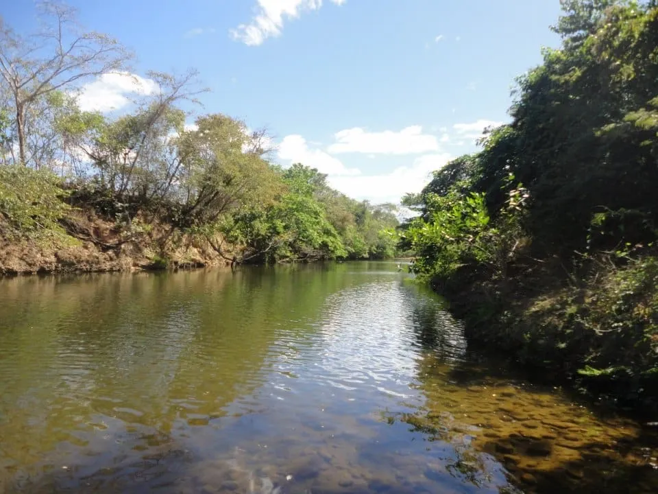 *OPORTUNIDADE ÚNICA! 20 Hectares de Terra para Agricultura e Agropecuária*