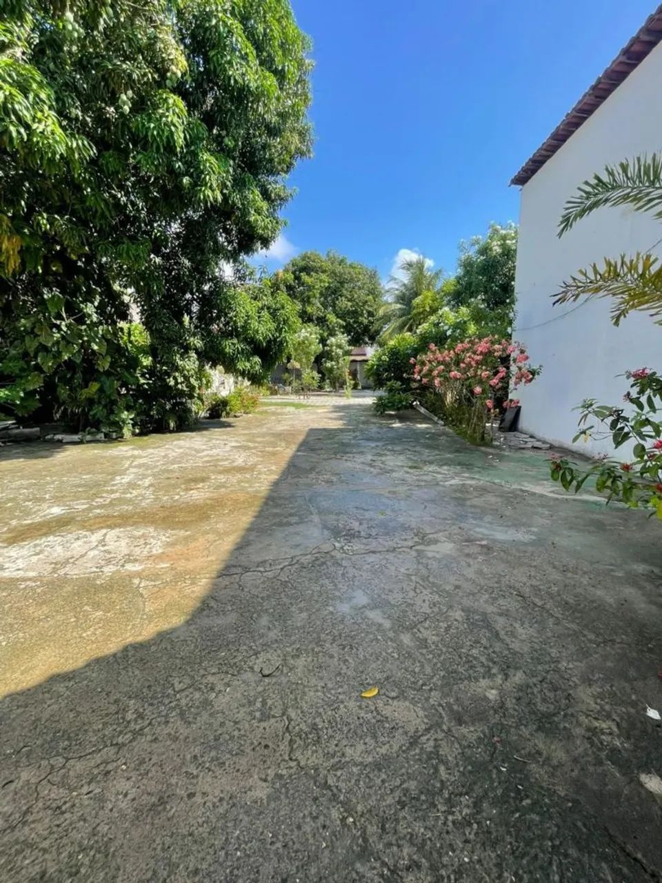 Chácara da Vovó - Espaço para Eventos e Confraternização  - Foto 2