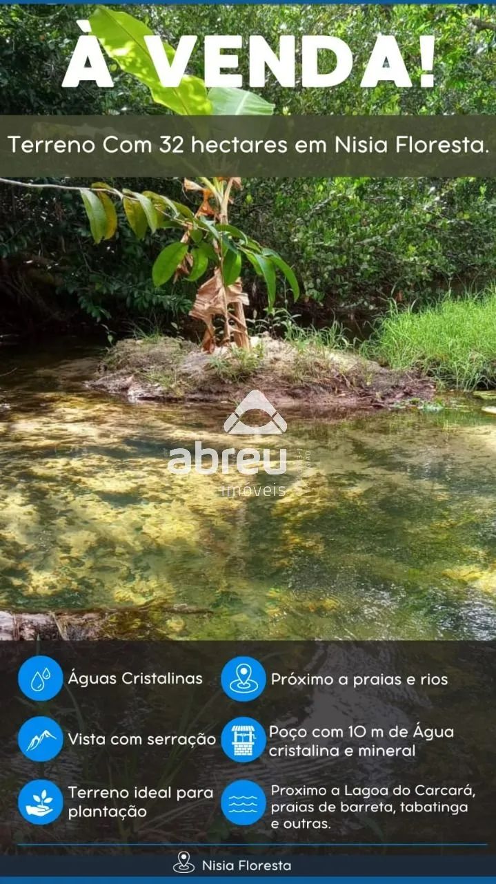 Terrenos Área em Nísia Floresta - Foto 4