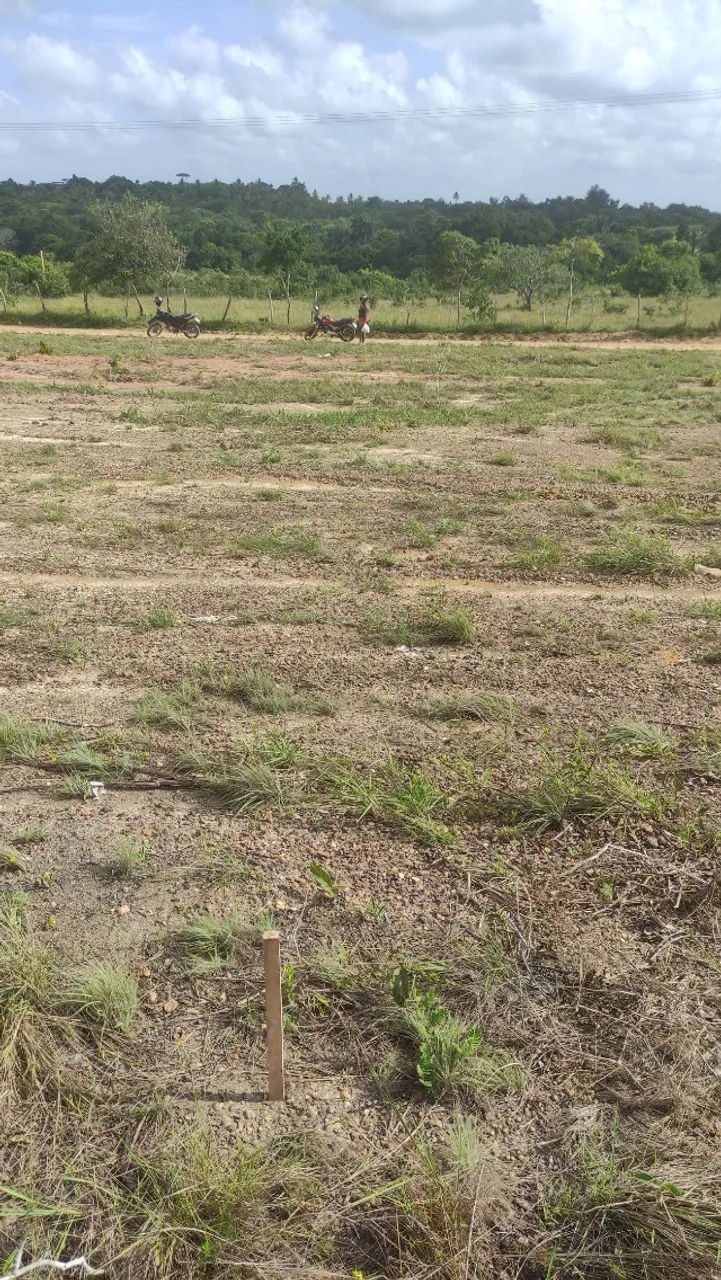 TERRENO PARA CONSTRUÇÃO 10 X 30 m - Foto 2