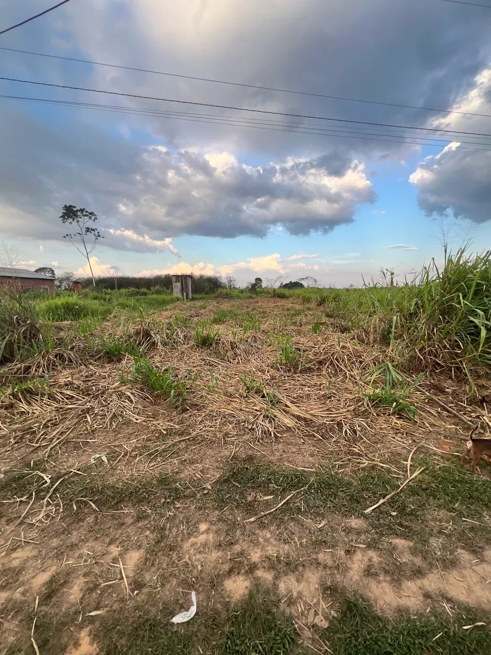 Vende-se esse terreno medindo 12x30 - Foto 3