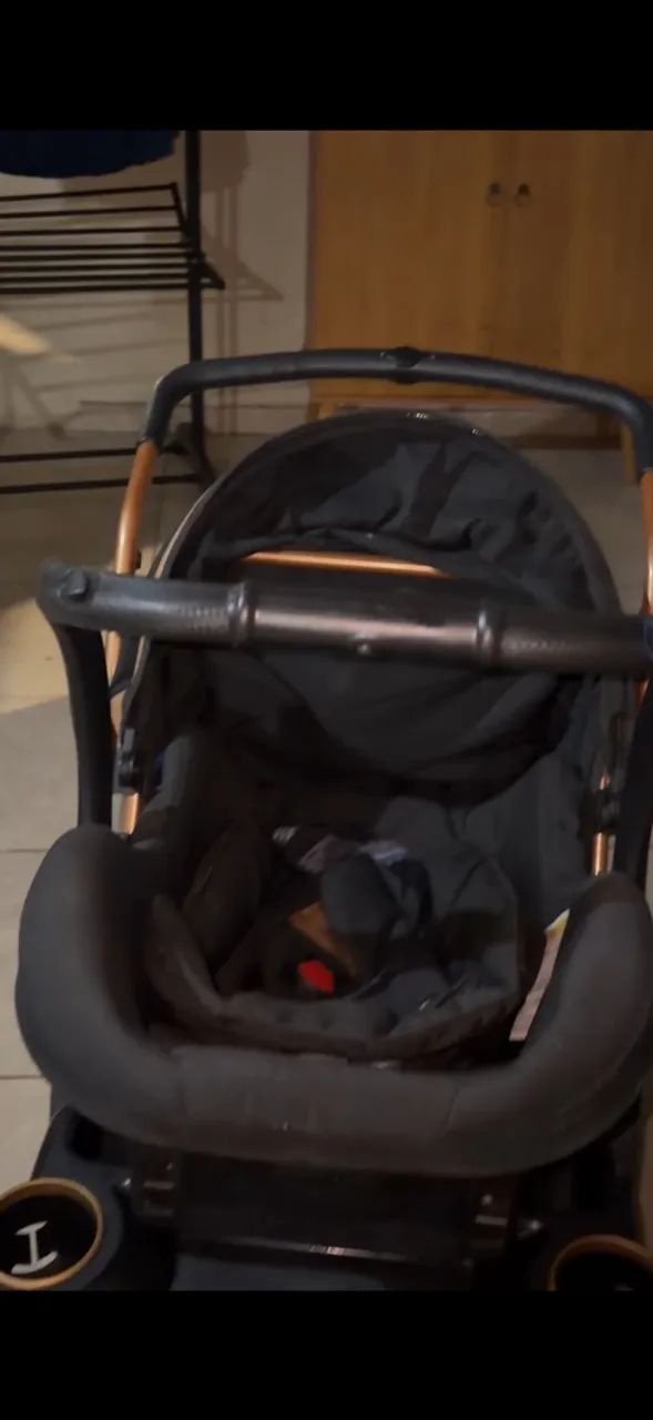 Carrinho com o bebê conforto 