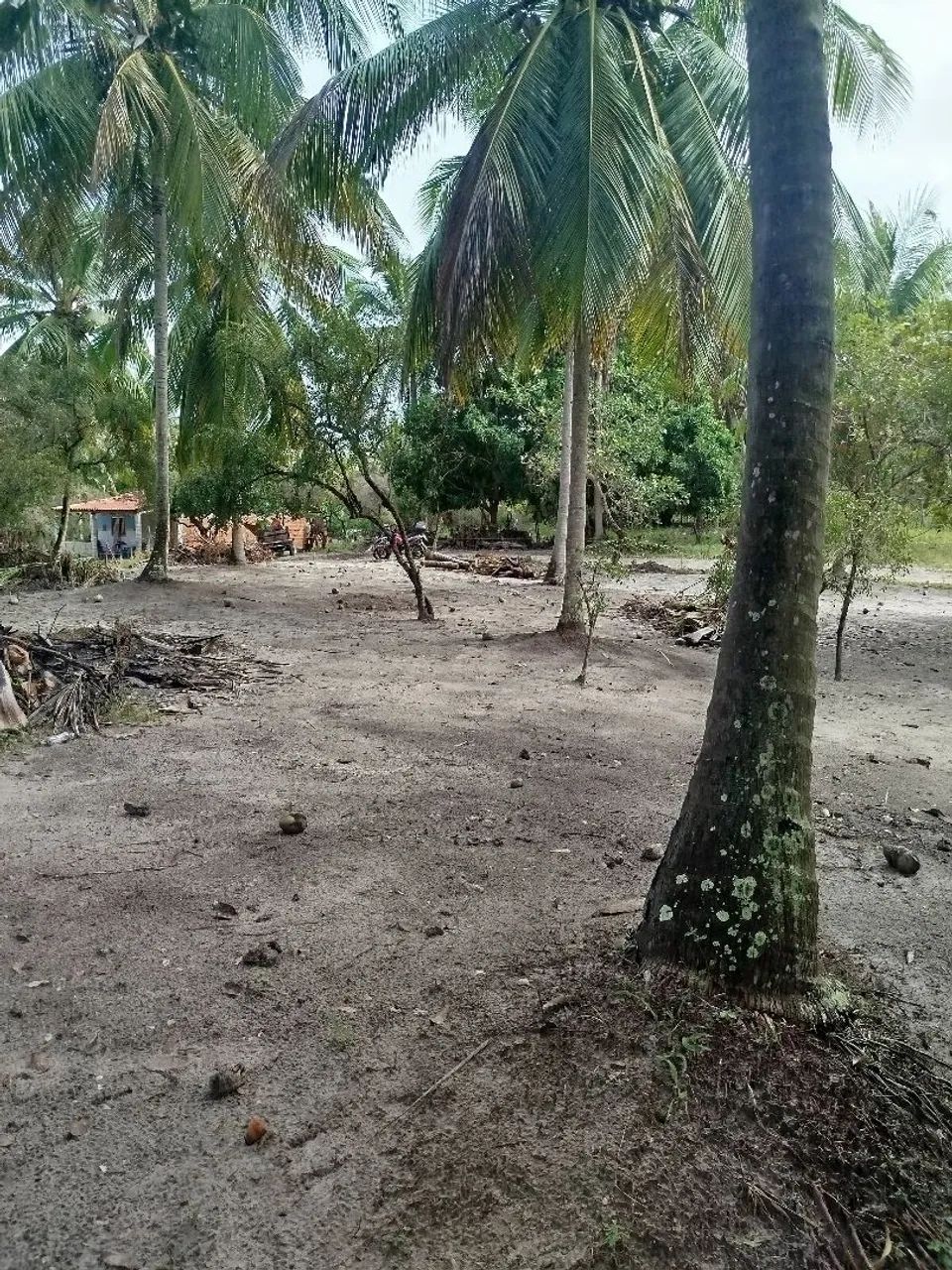 Terreno Lagoa redonda 10x34  40.0000 - Foto 4