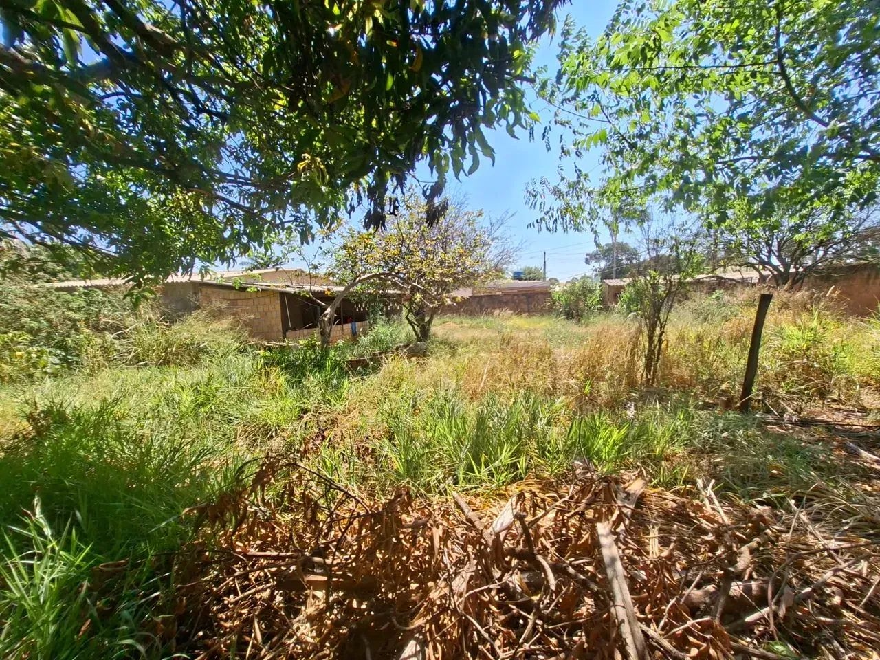 Incra 9 - Brasília - DF - Foto 3