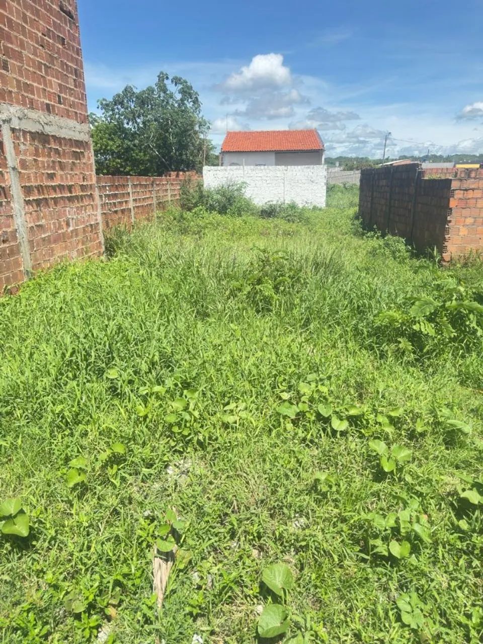 Terreno lot buzios do frances marechal deodoro
