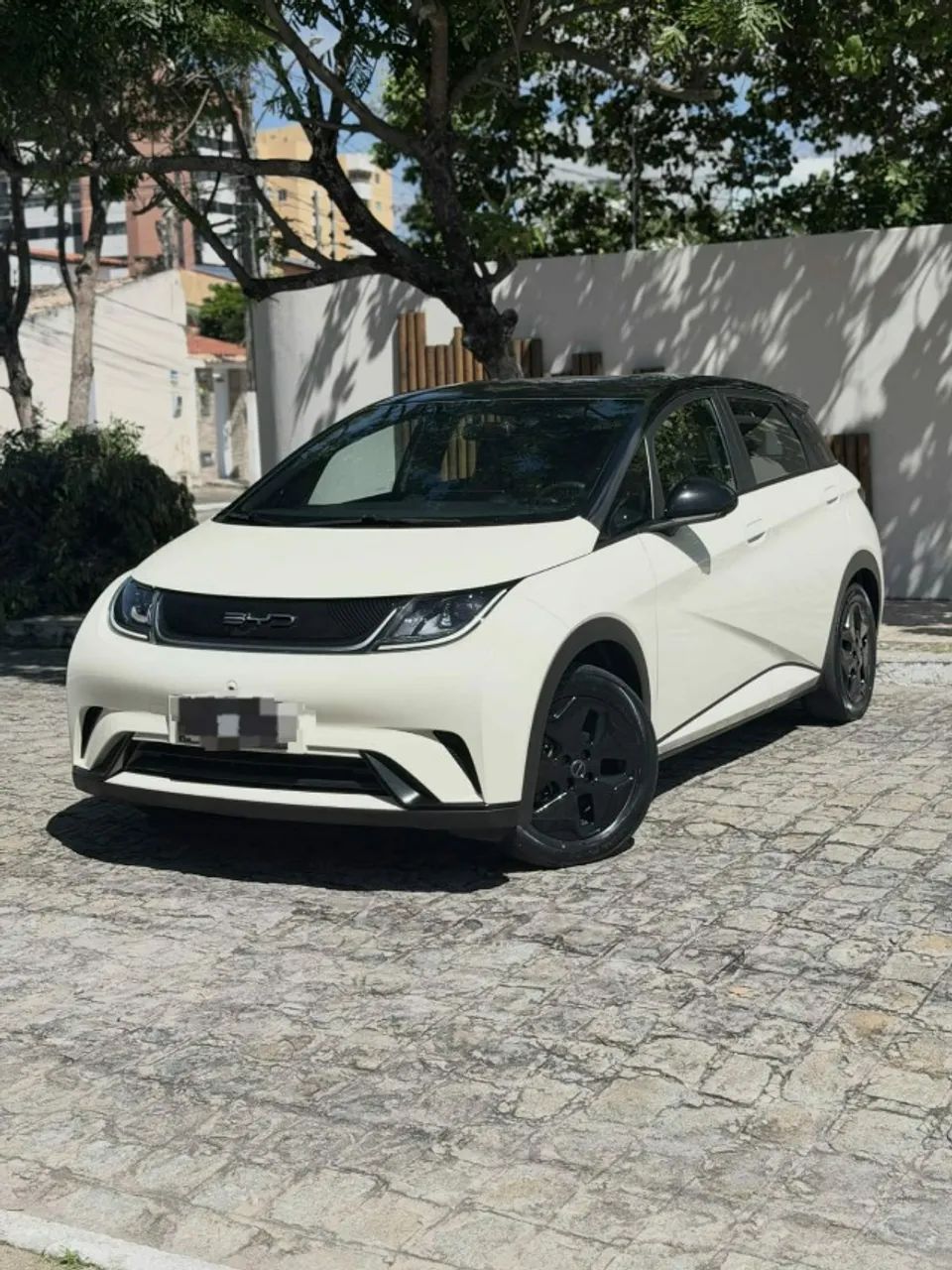 BYD Dolphin EV (Elétrico) 2024 - Foto 2