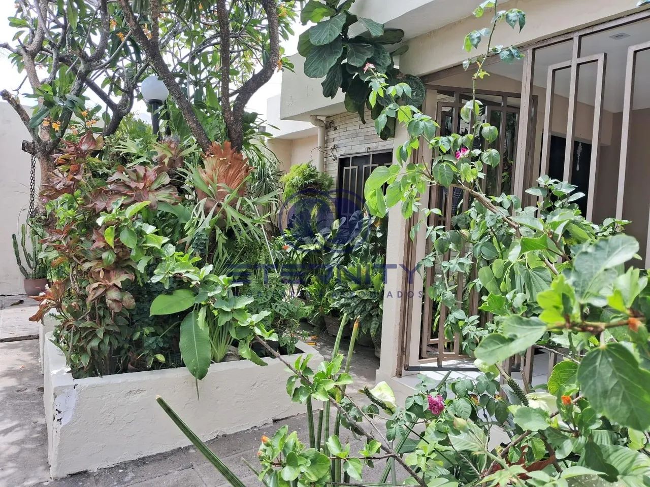 Casa em Areias, Recife: 4 Quartos e 360m² à Venda - Foto 2