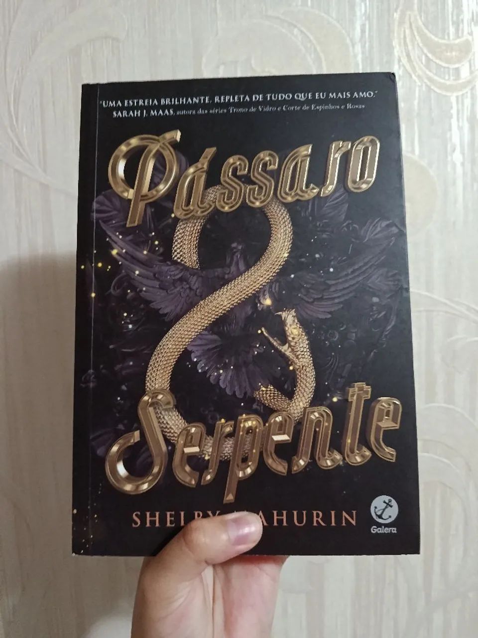 Box passaros e serpentes  - Foto 3