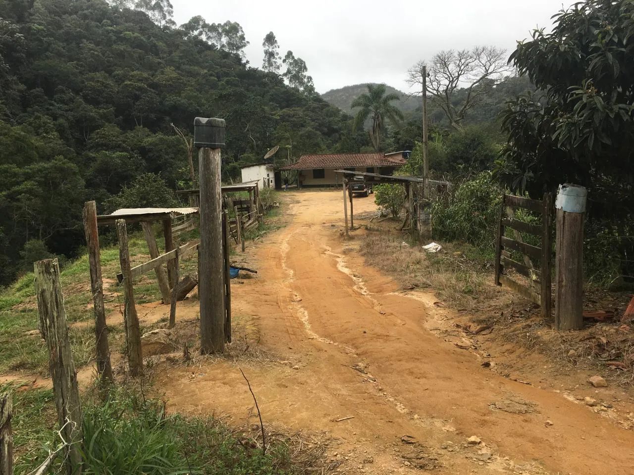 VENDO SITIO 3 ALQUEIRES EM NATIVIDADE DA SERRA ( 4291 ) - Foto 3