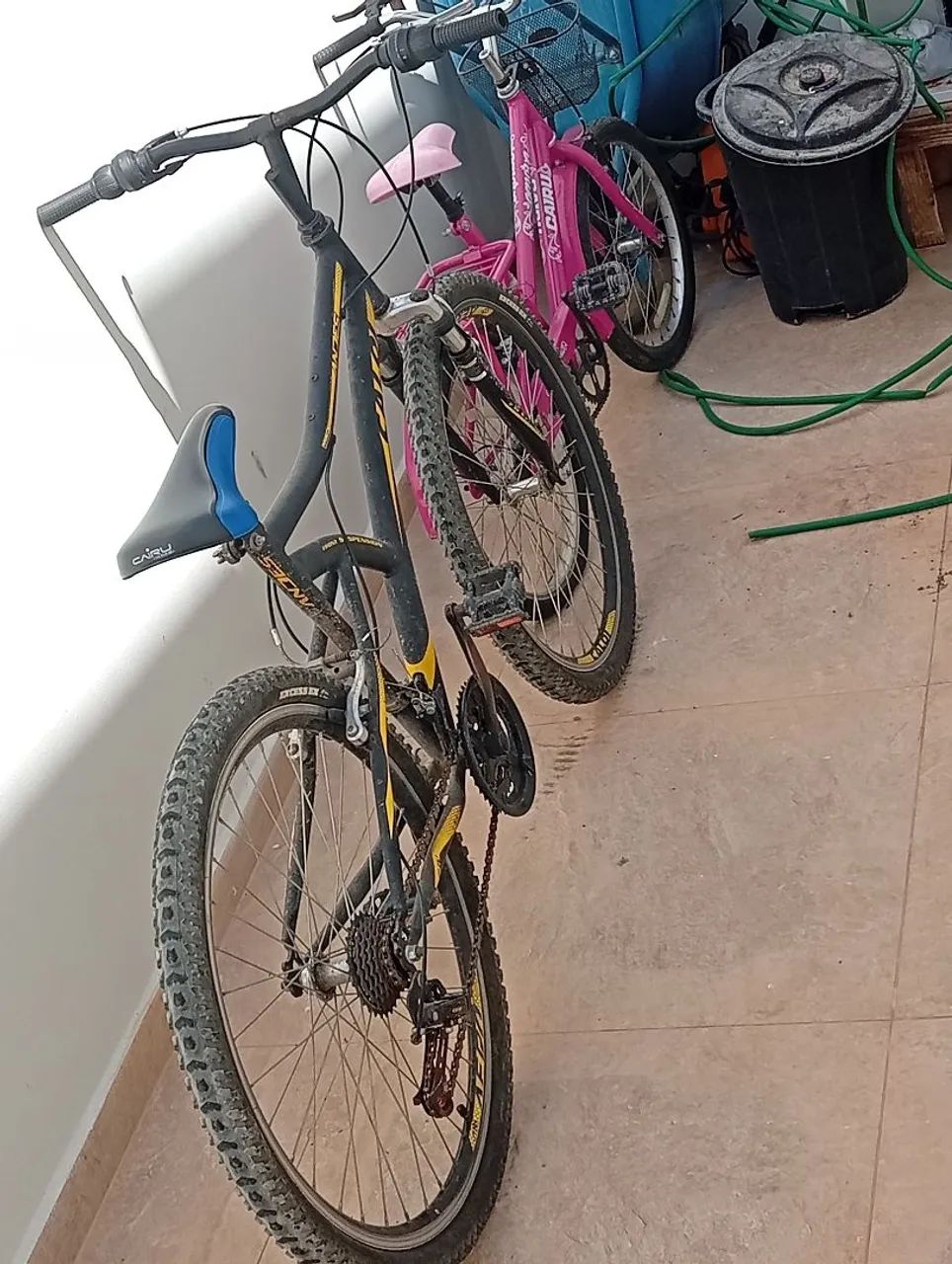 Bicicleta