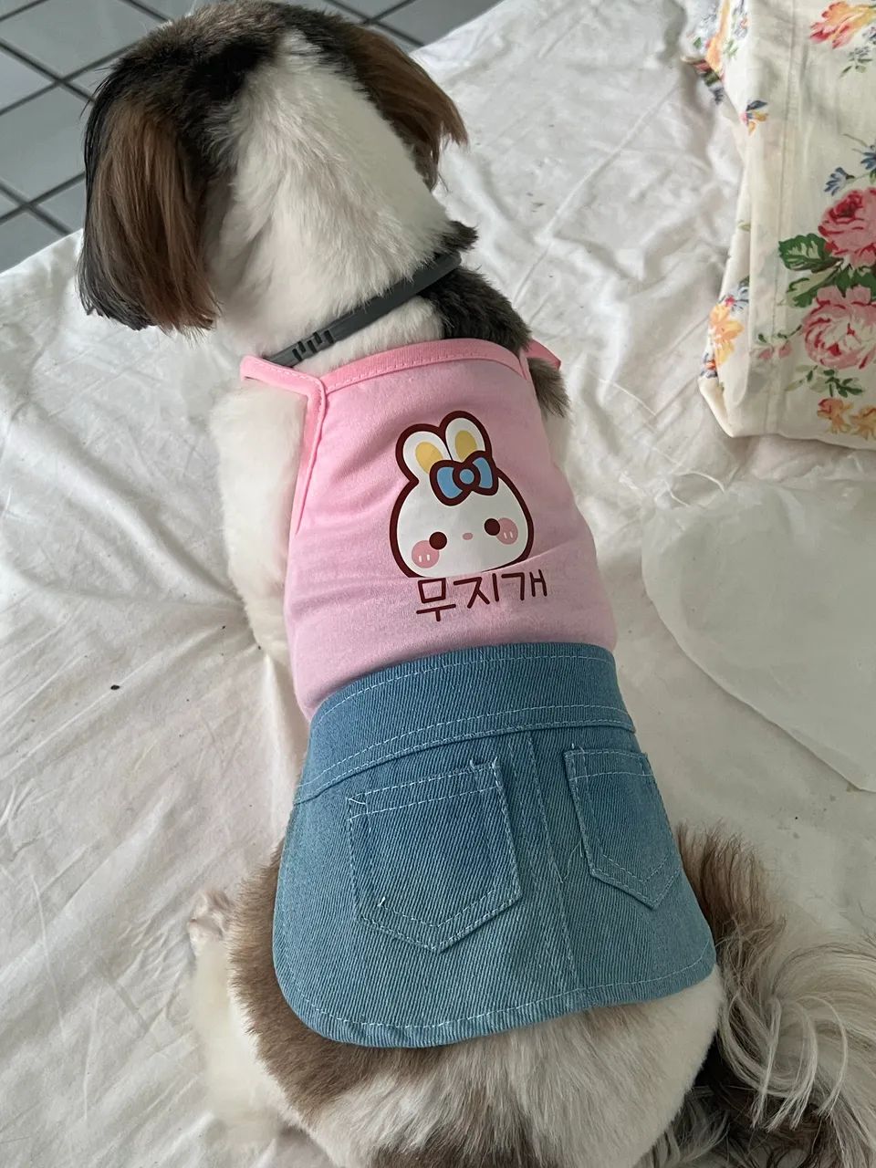 Roupas e acessorios pet - Foto 3