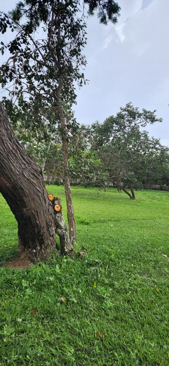 Foto - Brasília - Setor Habitacional Jardim Botânico
