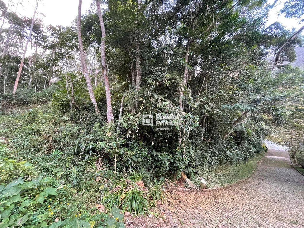 Terreno com RGI , 2345 m² à venda por R$ 350.000 - Mury - Nova Friburgo/RJ - Foto 3