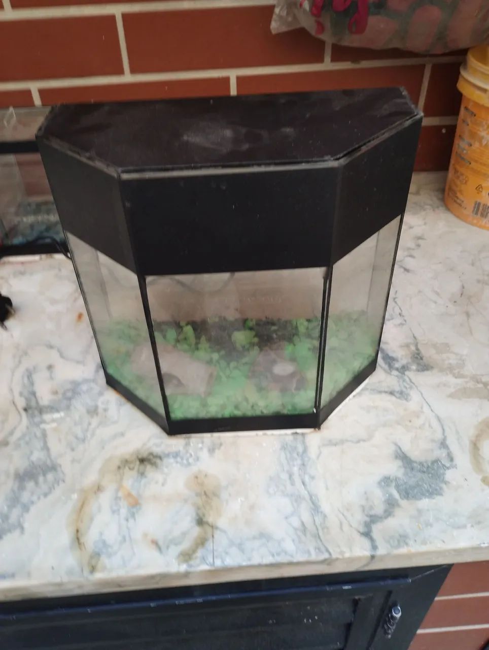 Aquário com bocal, pedras e dois acessórios.