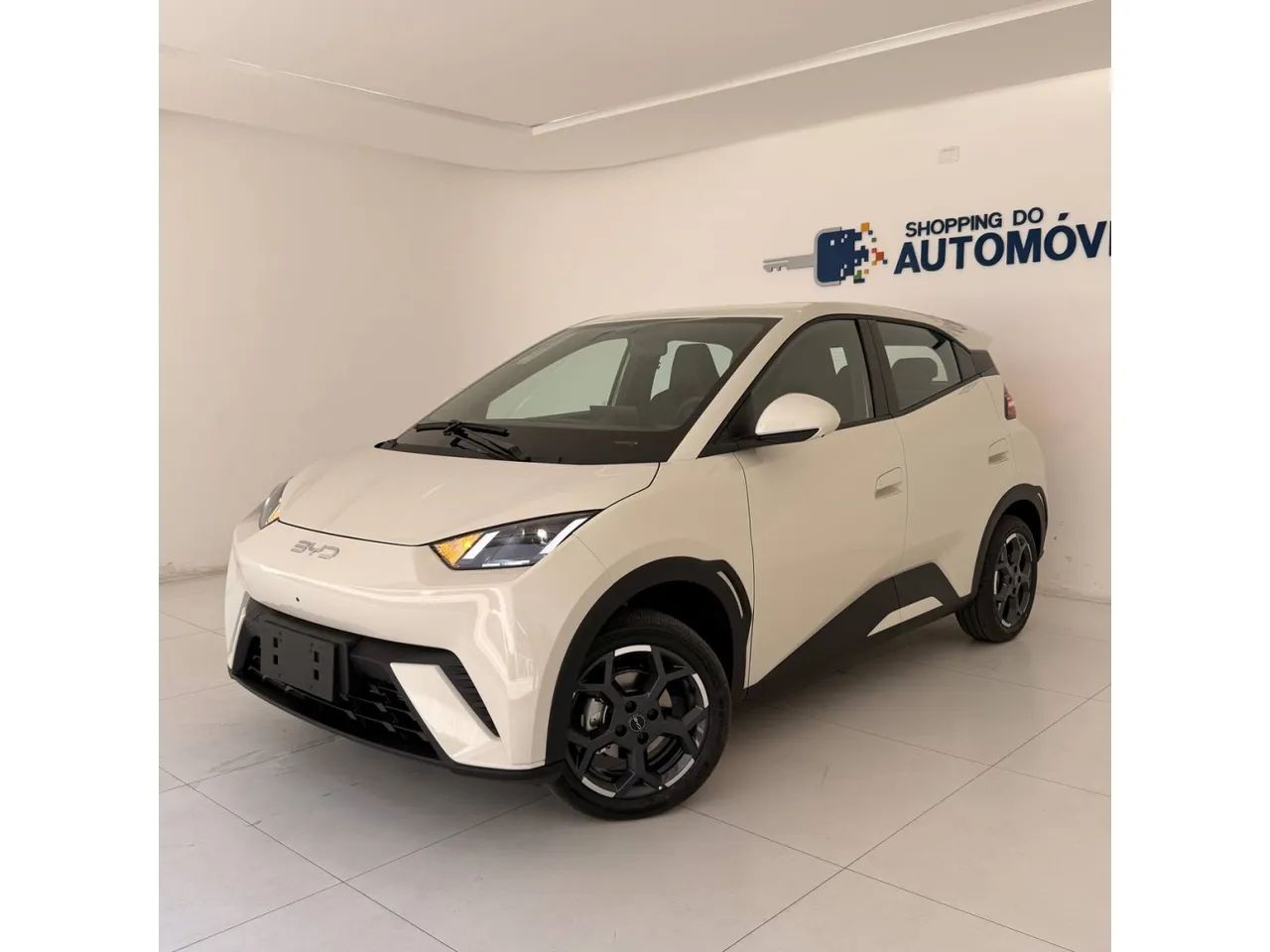 BYD Dolphin Mini (Elétrico) 2027 - Foto 3