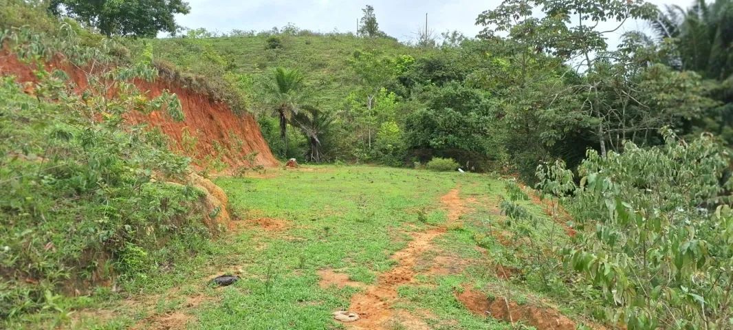 Vendo Sítio 3 Hectares com Açude e Cacimba de Água Mineral - Foto 5