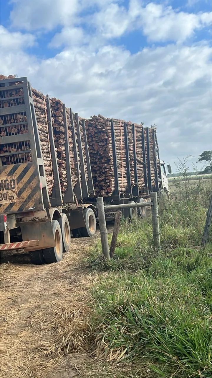 Caminhão 31.320 traçado  - Foto 4